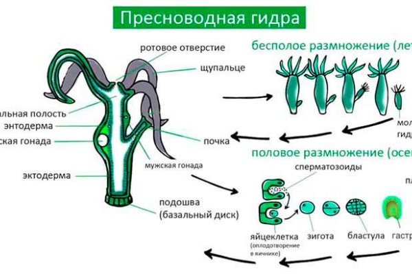 Как разбанить кракен