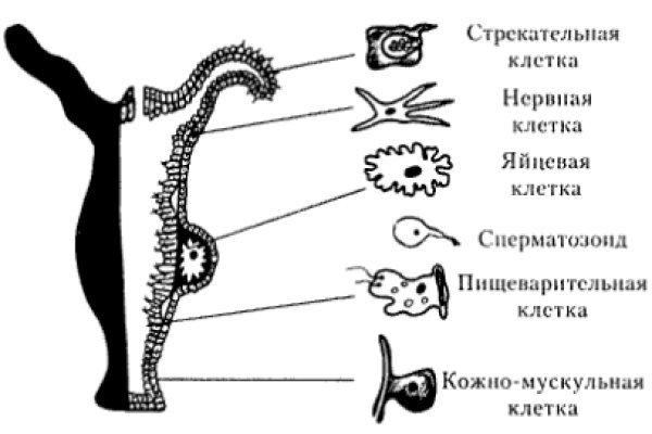 Блэкспрут сайт нарко веществ