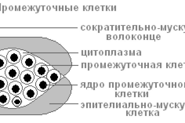 Адрес даркнета