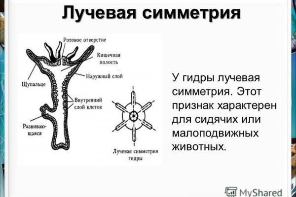 Как зайти в блэкспрут через тор