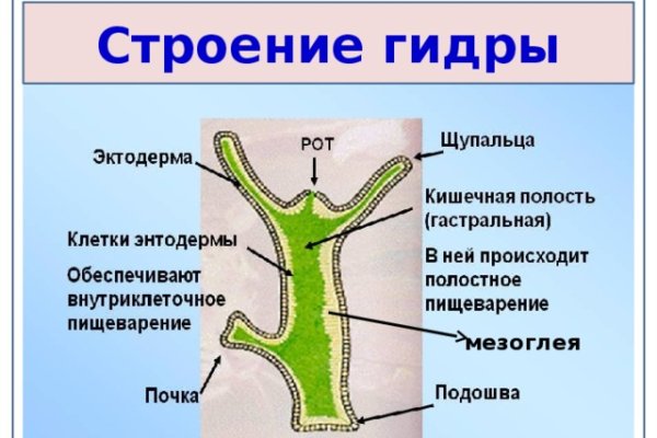 Как правильно пишется сайт мега