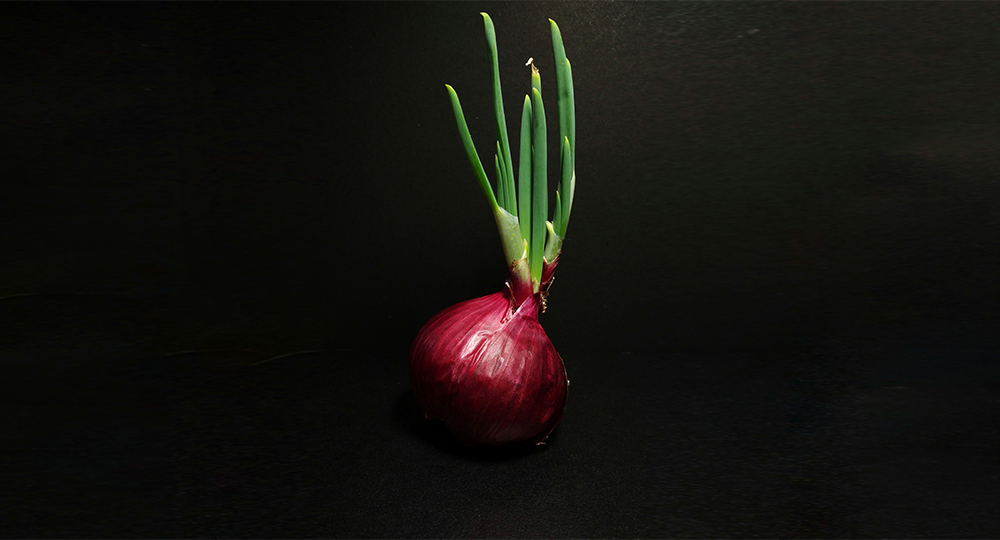 Ссылка омг onion